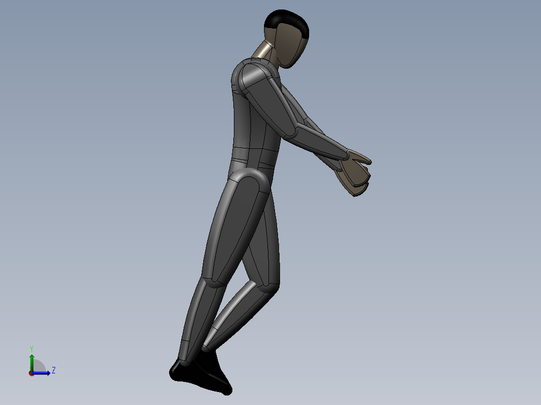 标准人体模型左视图