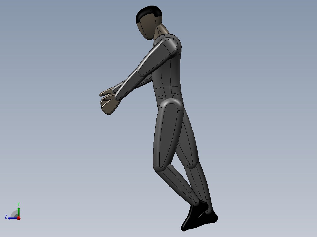 标准人体模型右视图