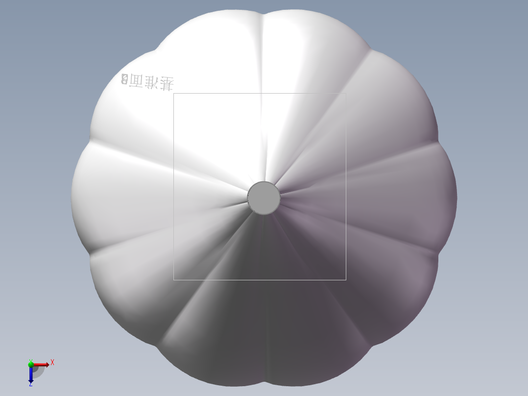 山东大白蒜俯视图