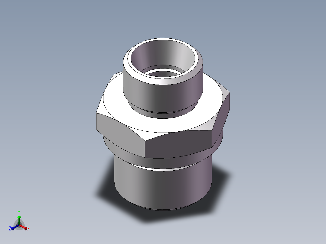 公制螺纹ED密封、1CM-18-22WD正等轴测图
