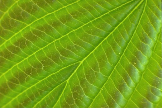 夏季露台缩略图