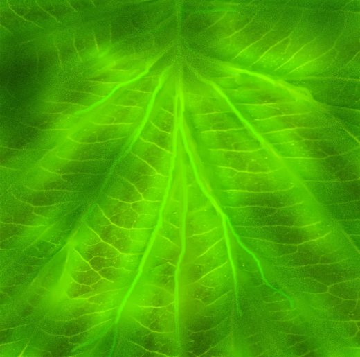 夏季露台缩略图