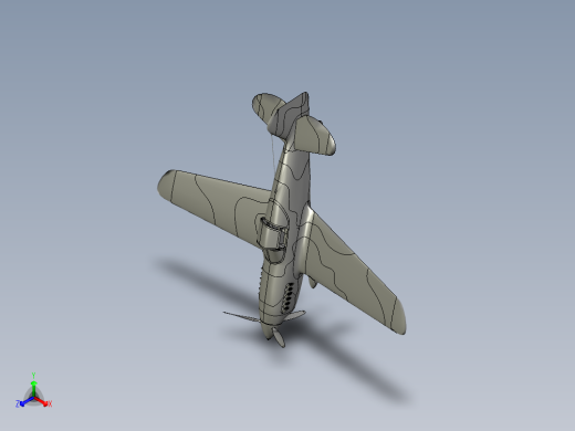 B2004831-P-40 鹰滩飞机