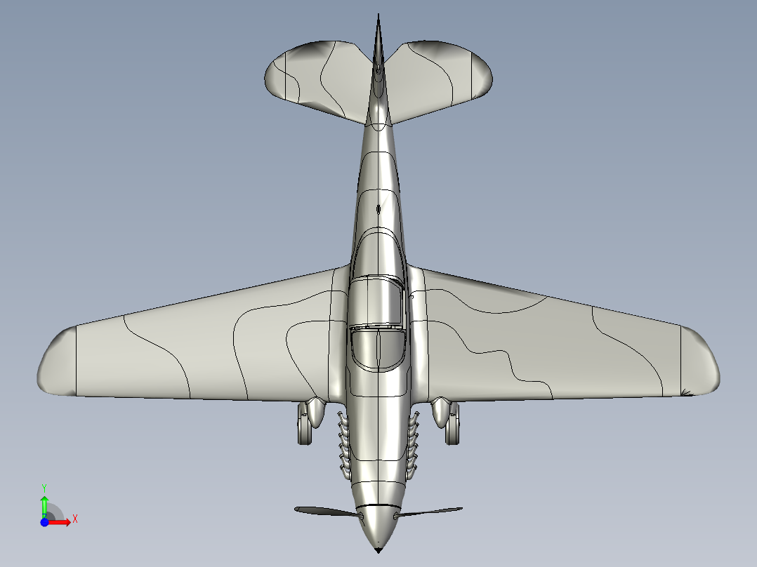 B2004831-P-40 鹰滩飞机前视图