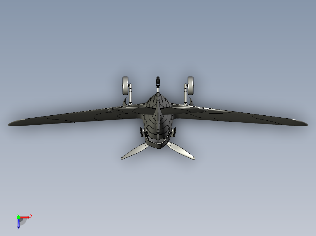 B2004831-P-40 鹰滩飞机俯视图