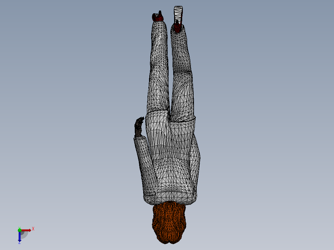 人体模型(128)俯视图