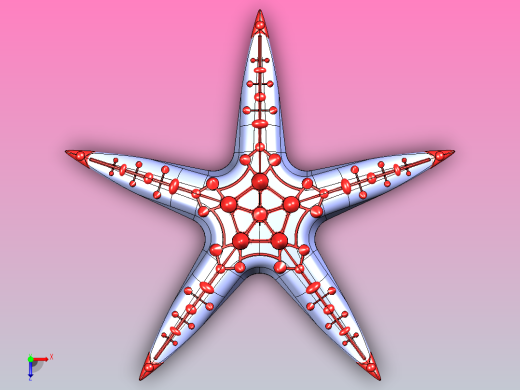 红节海星IGS俯视缩略图