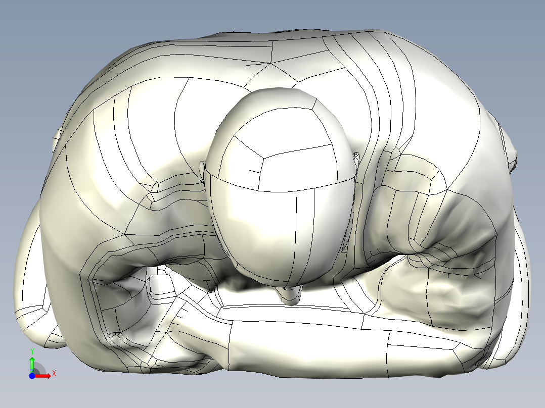 人体模型(123)前视图