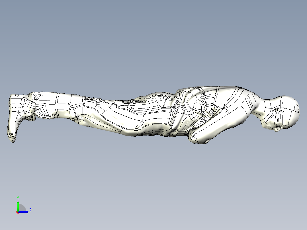 人体模型(123)左视图
