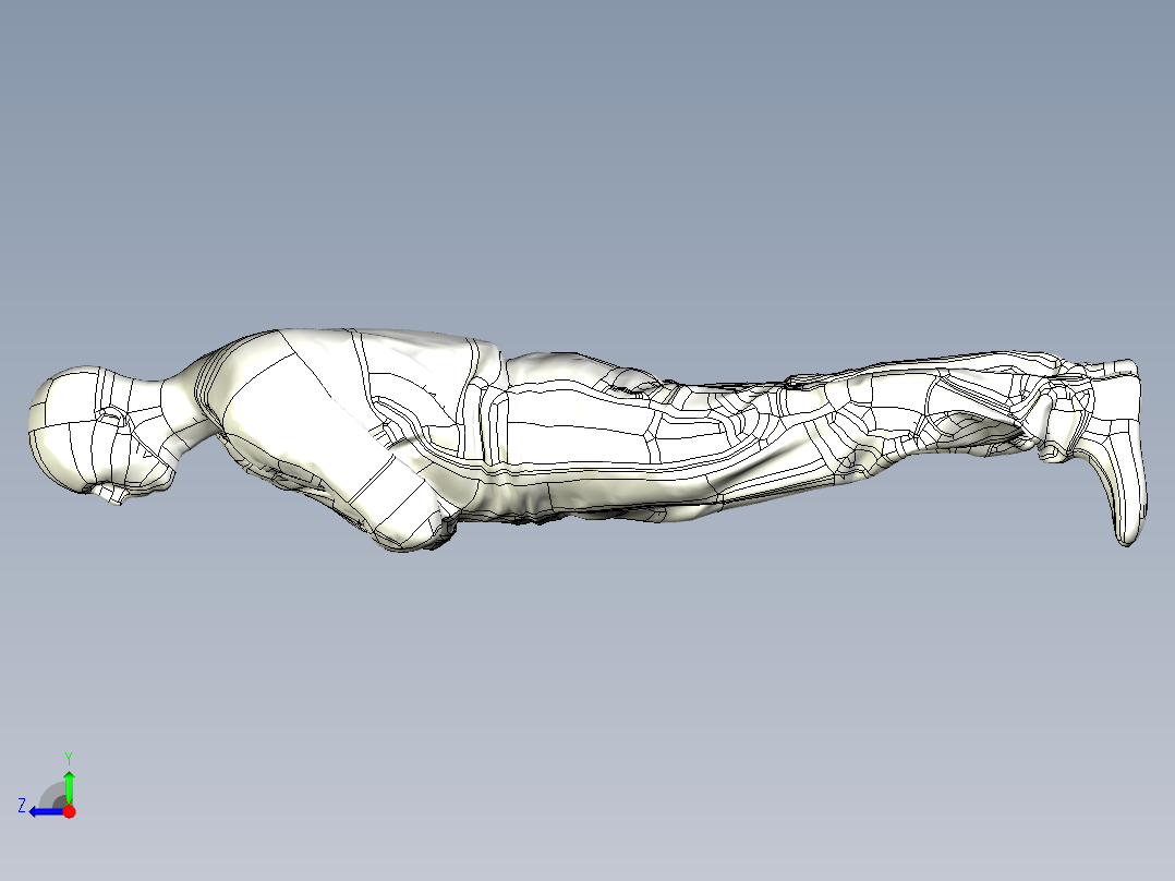 人体模型(123)右视图