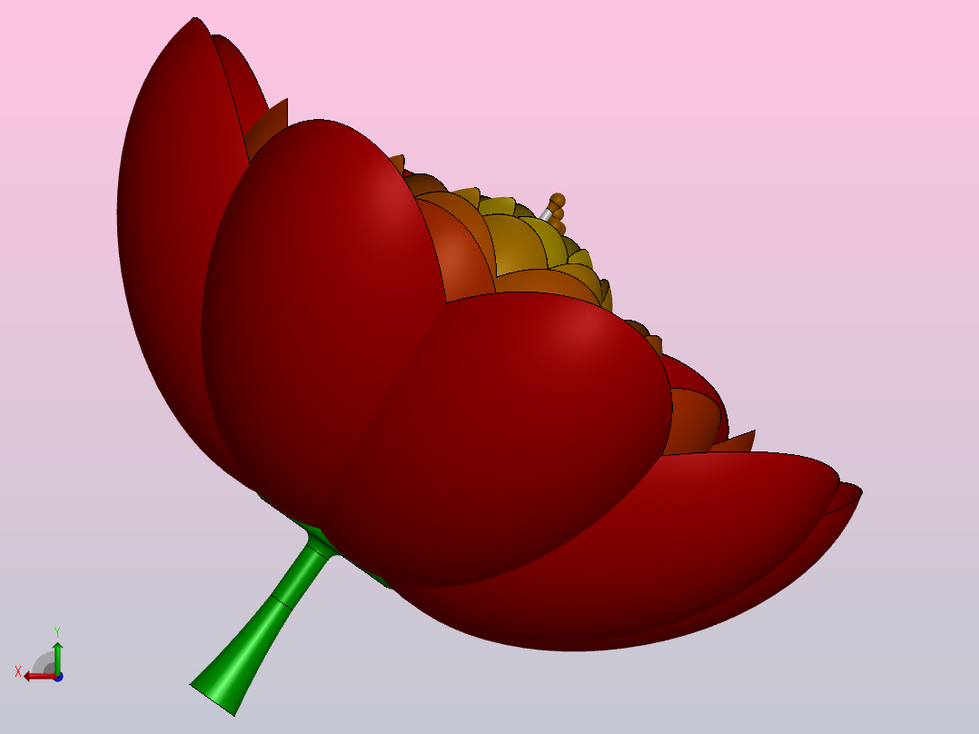 花后视图