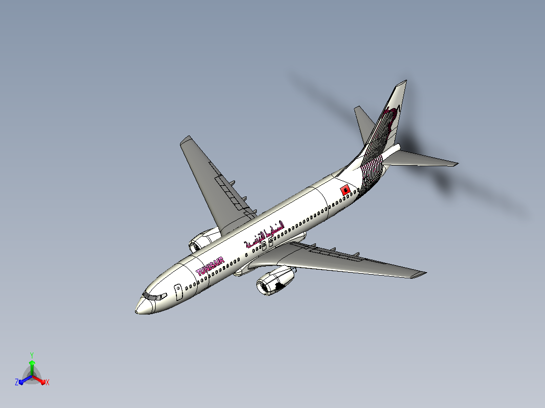 波音737 700客机 突尼斯航空前视图