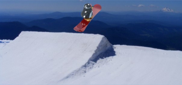 滑雪板企鹅