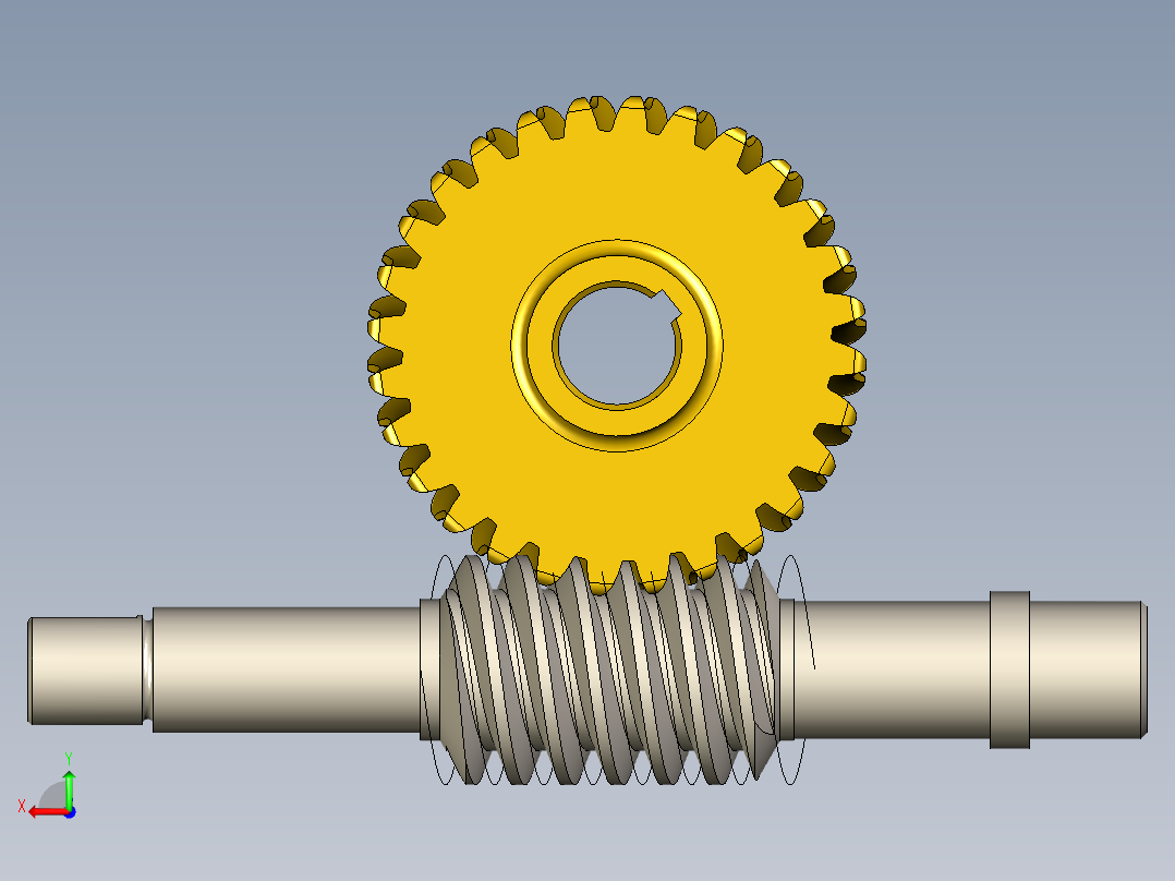 蜗杆和冠后视图