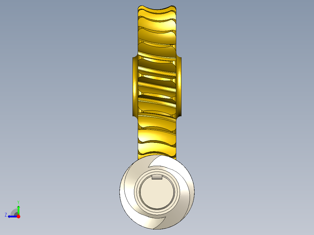 蜗杆和冠右视图