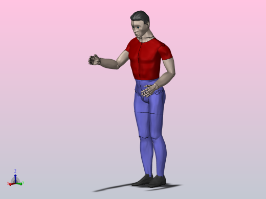 人体模型3D
