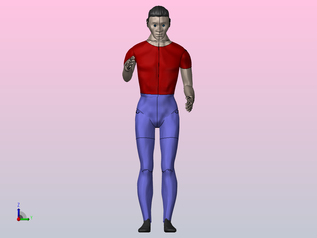 人体模型3D前视图