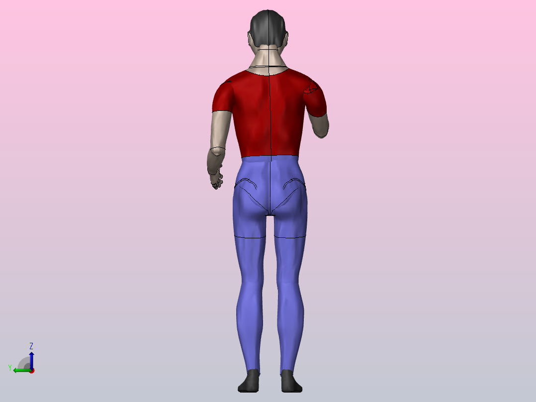 人体模型3D后视图