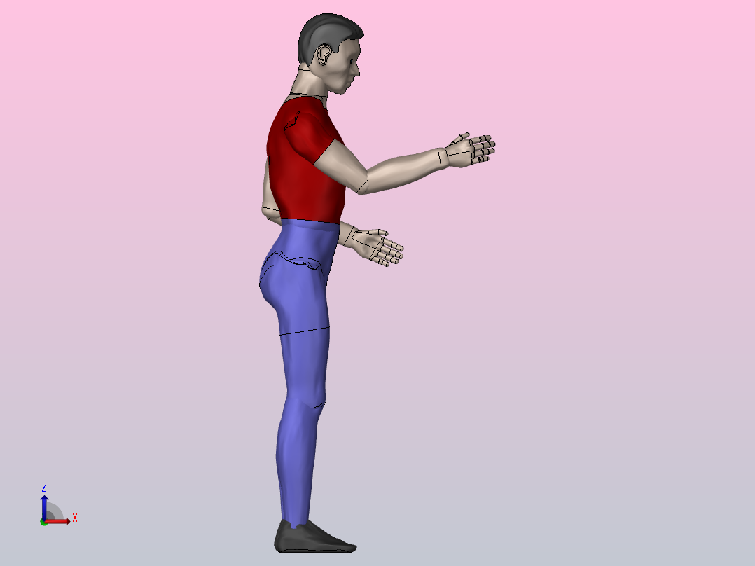 人体模型3D左视图