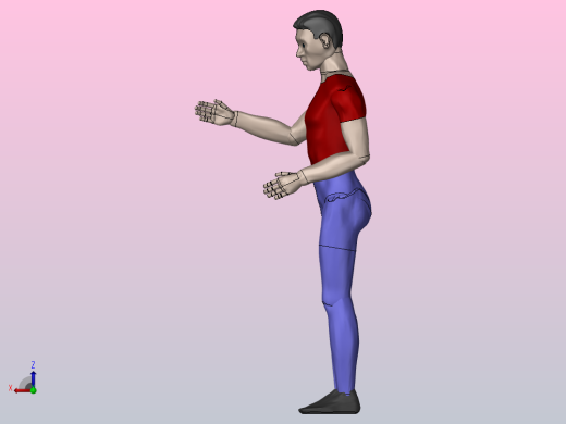 人体模型3D右视缩略图
