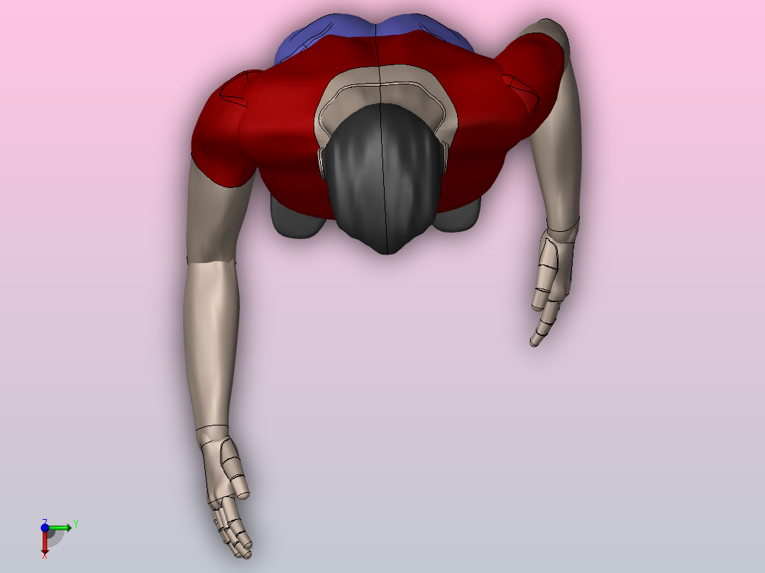 人体模型3D俯视图