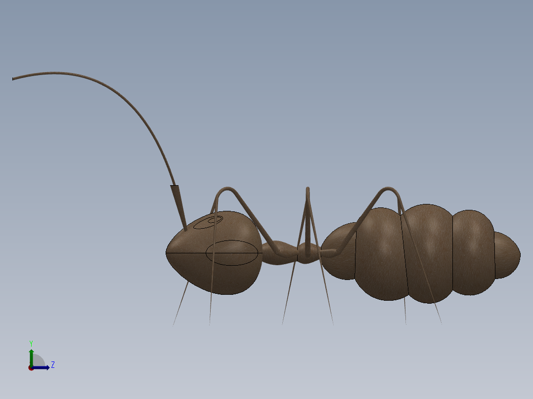 小昆虫3d模型左视图