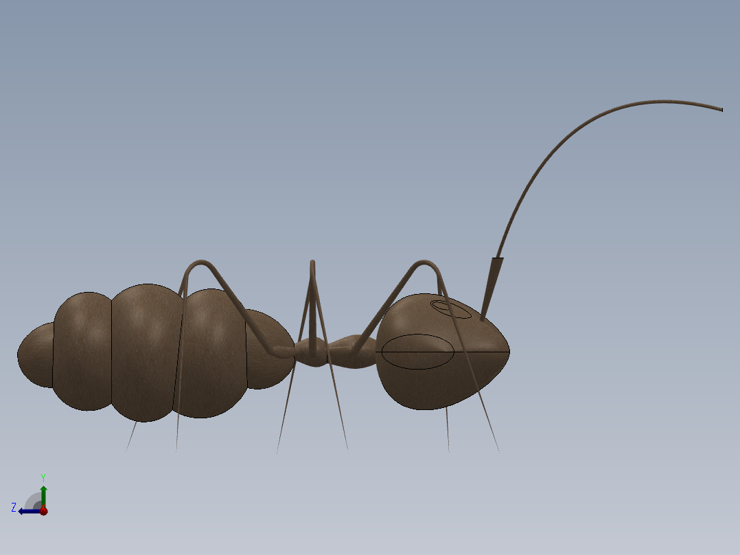 小昆虫3d模型右视图
