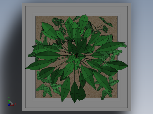植物(46)前视缩略图
