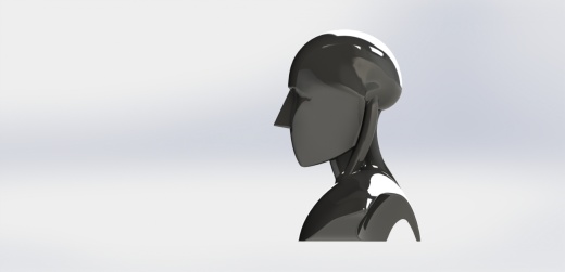 A2001488-人类胸像缩略图