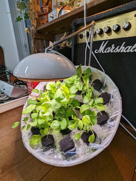 旋转式水培机缩略图