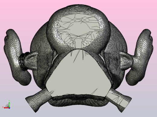 海贼王-乔巴1后视缩略图