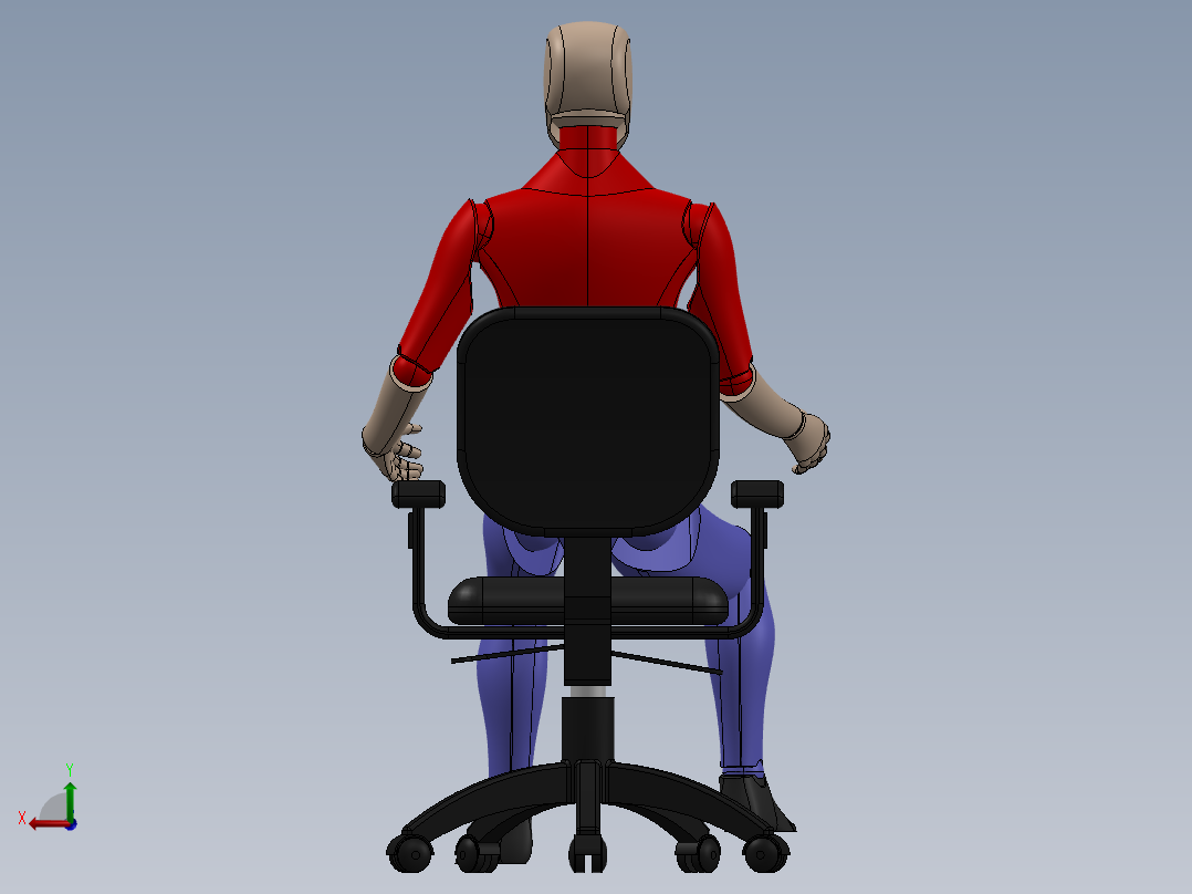 人体模型(47)后视图