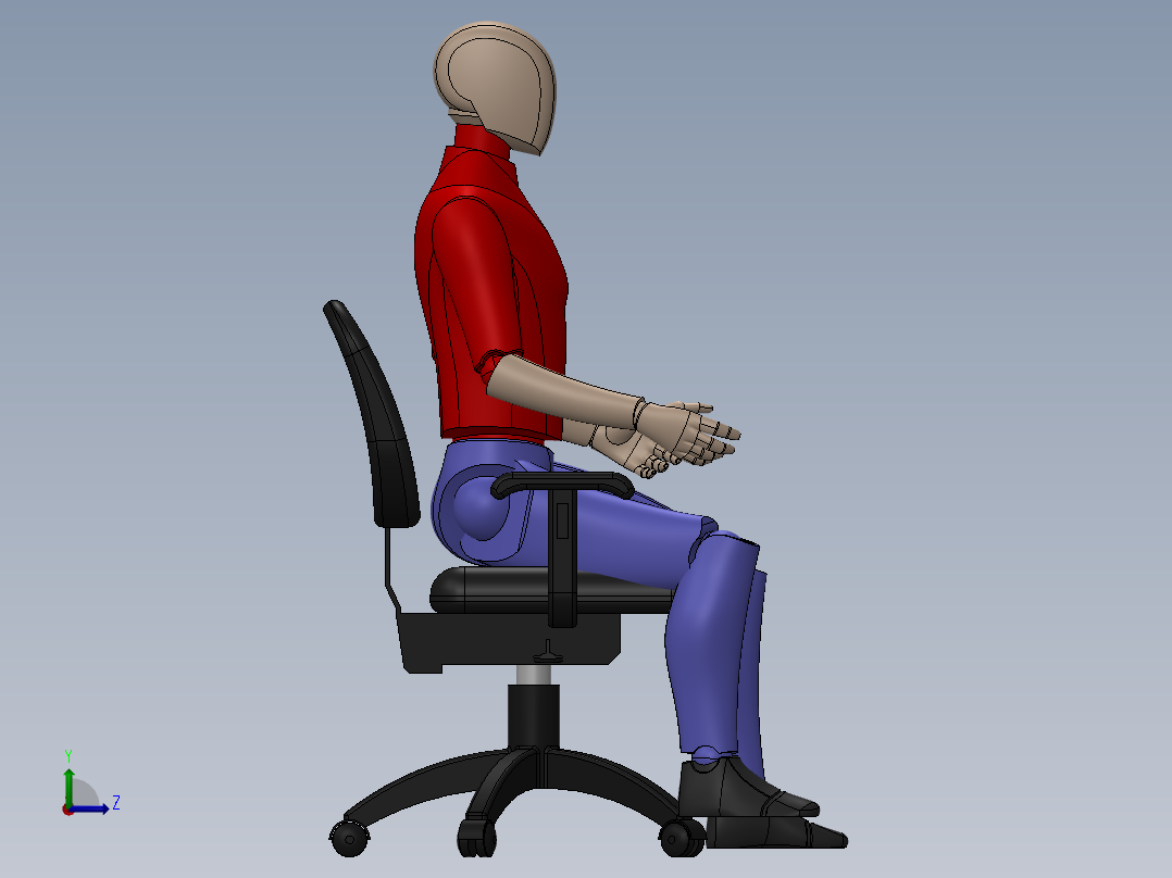 人体模型(47)左视图