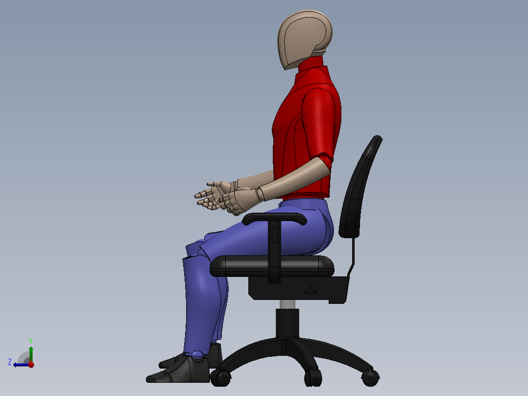 人体模型(47)右视图