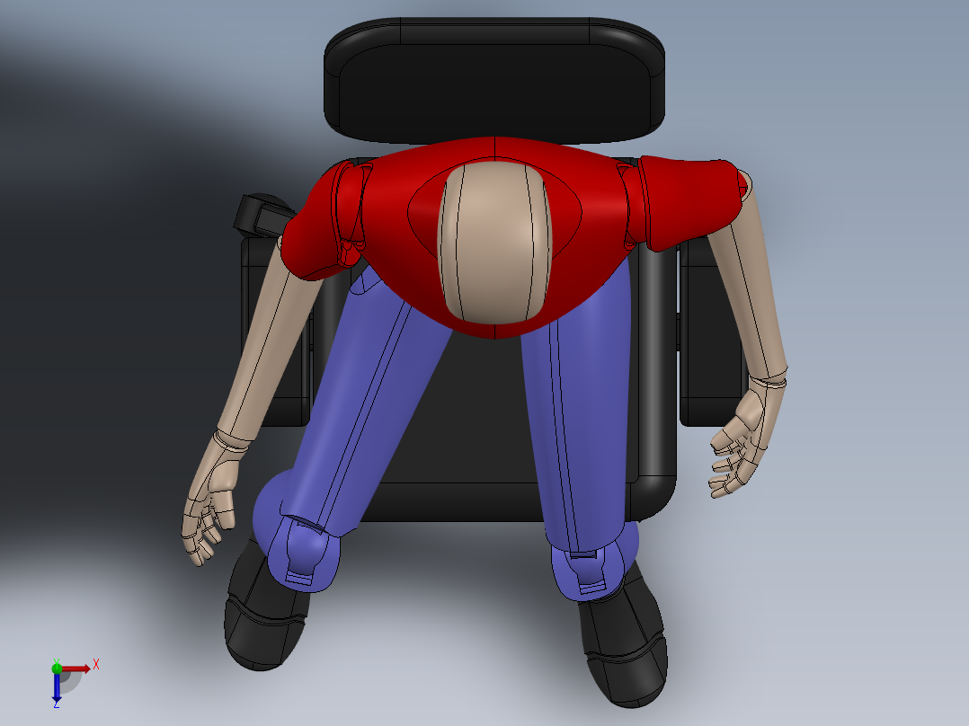 人体模型(47)俯视图