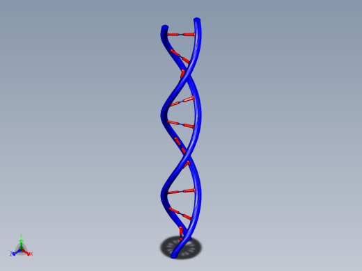DNA基因染色体16