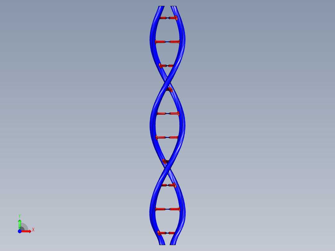 DNA基因染色体16前视图