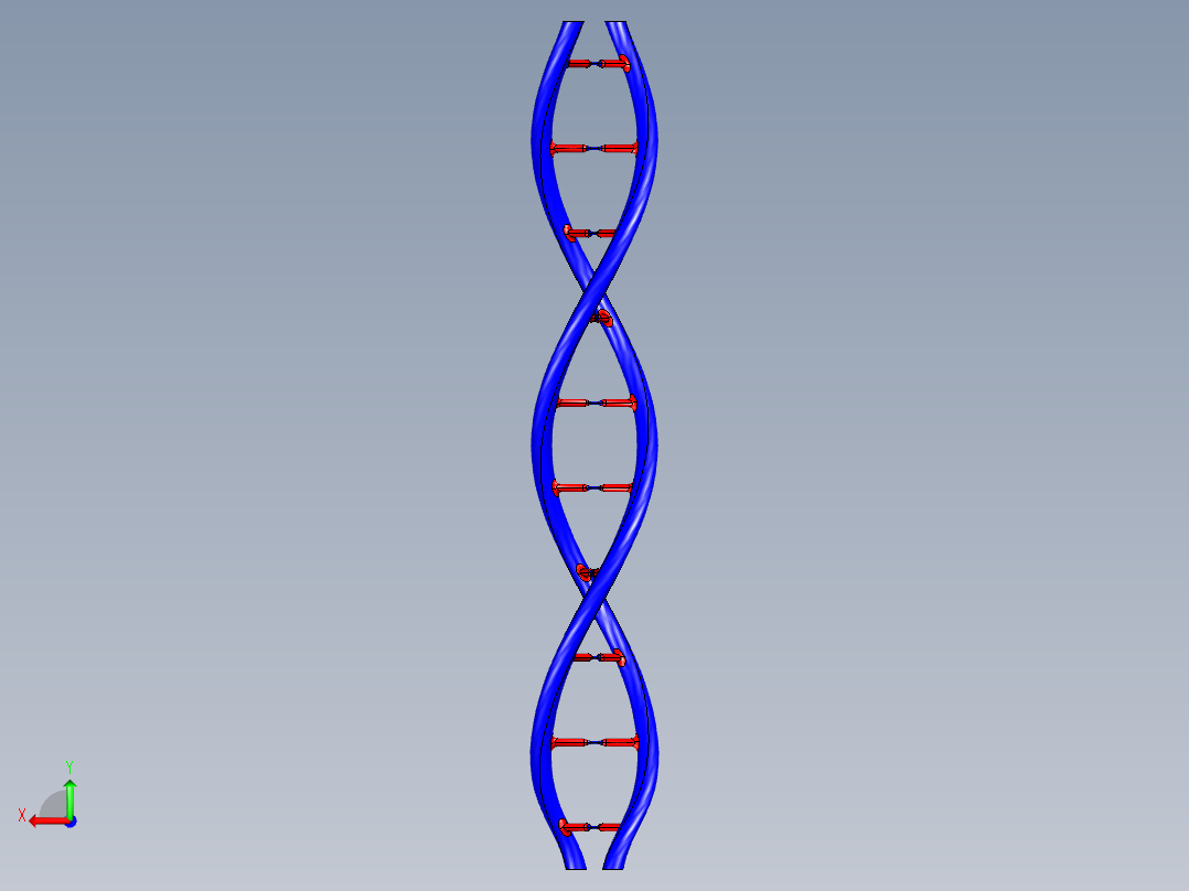 DNA基因染色体16后视图