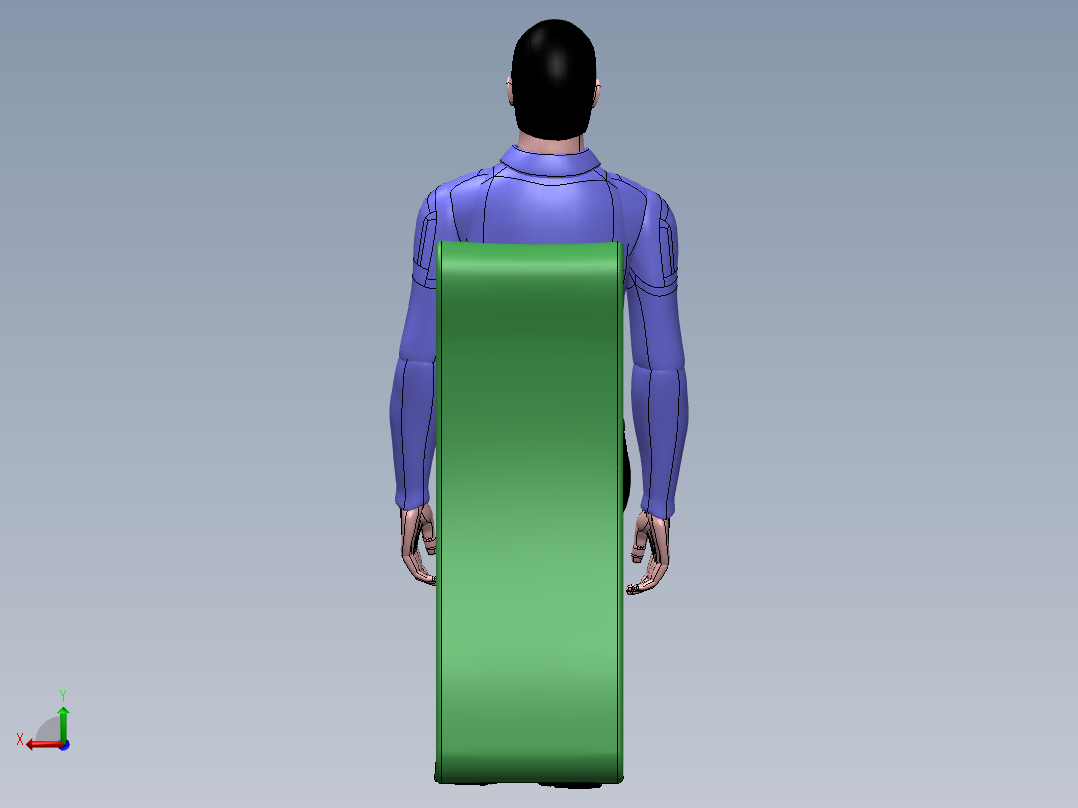 人体模型(60)后视图