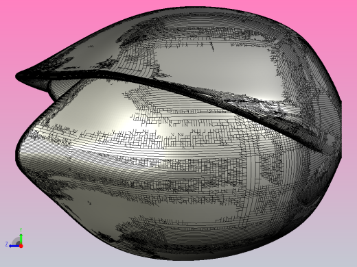 郁金香_stls右视缩略图