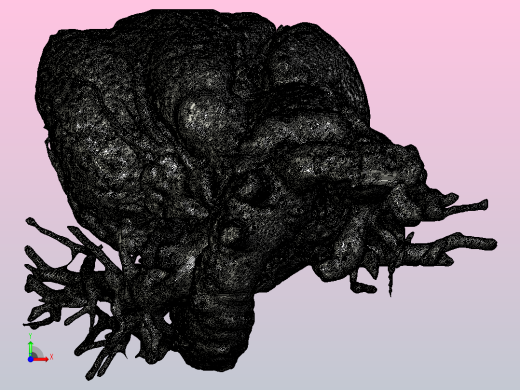 人心脏的3D模型前视缩略图