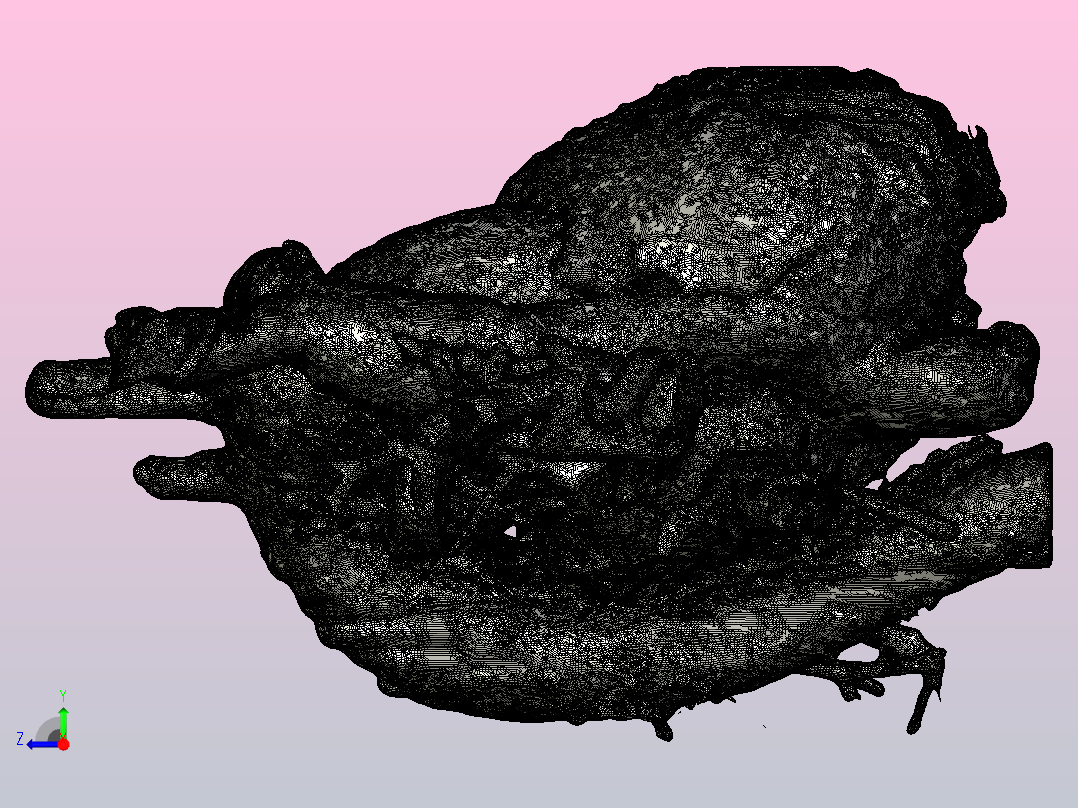 人心脏的3D模型右视图