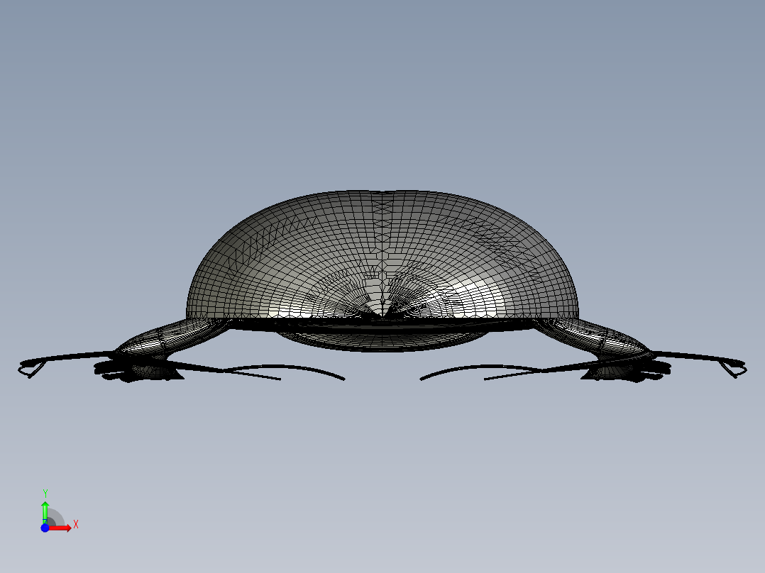 斯卡布甲壳虫前视图