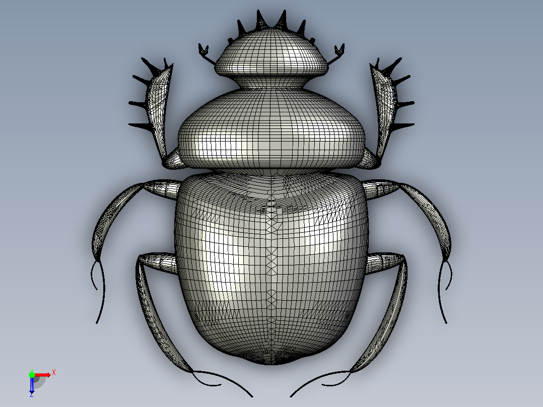 斯卡布甲壳虫俯视图