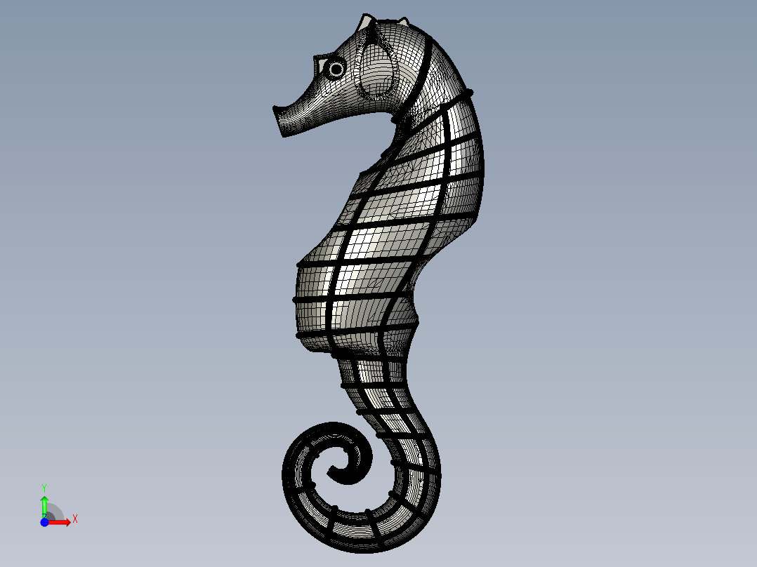 海洋动物海马前视图