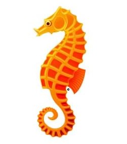 海洋动物海马