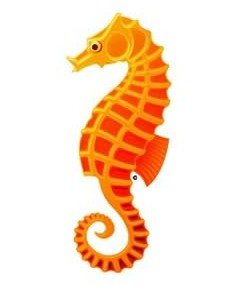 海洋动物海马缩略图