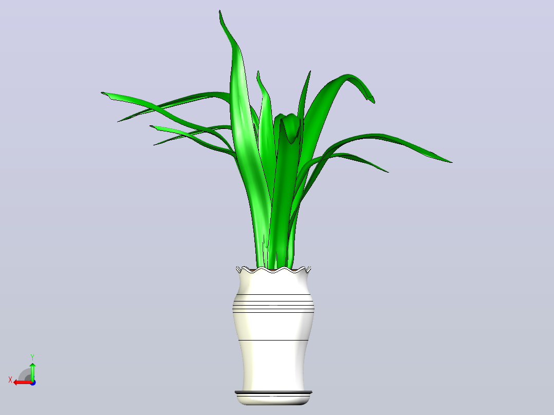 花盆绿植后视图