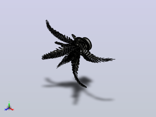 盆栽蕨类植物