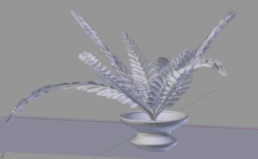 盆栽蕨类植物缩略图
